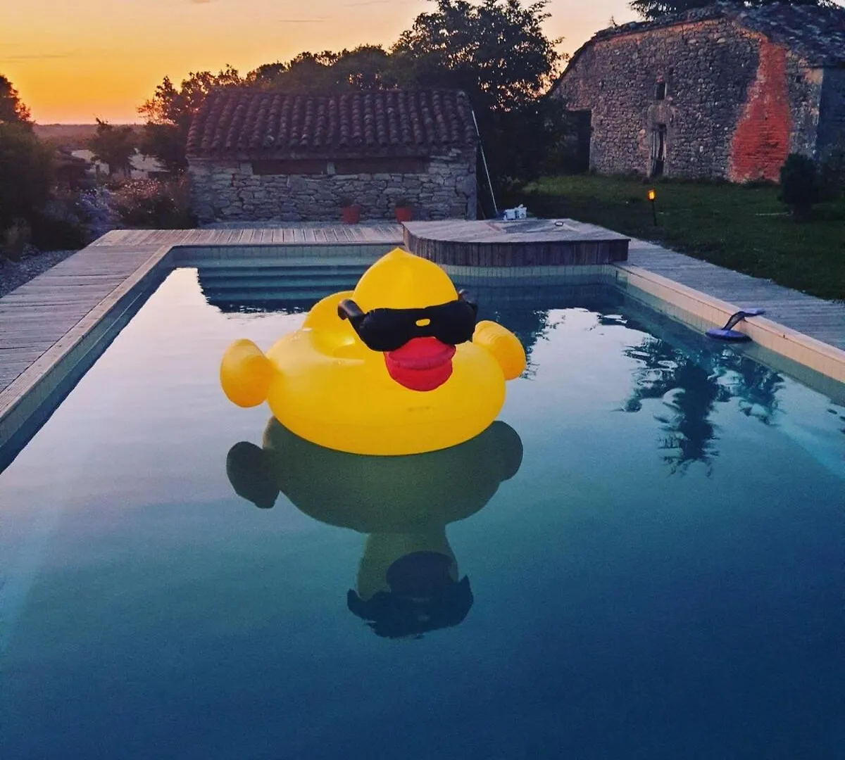 Cozy Guest House With Jacuzzi And Swimming Pool Sérignac
